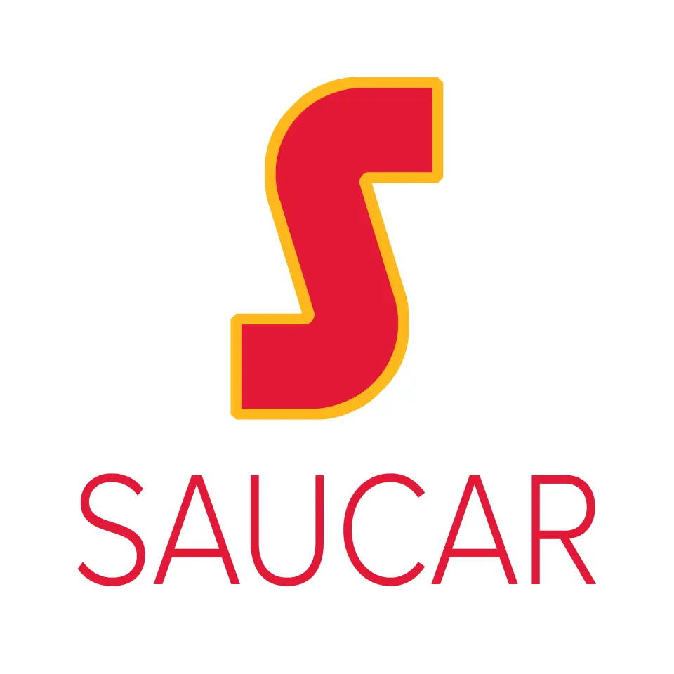 Saucar - the Artificial Intelligence Service Provider